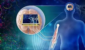 bio computing